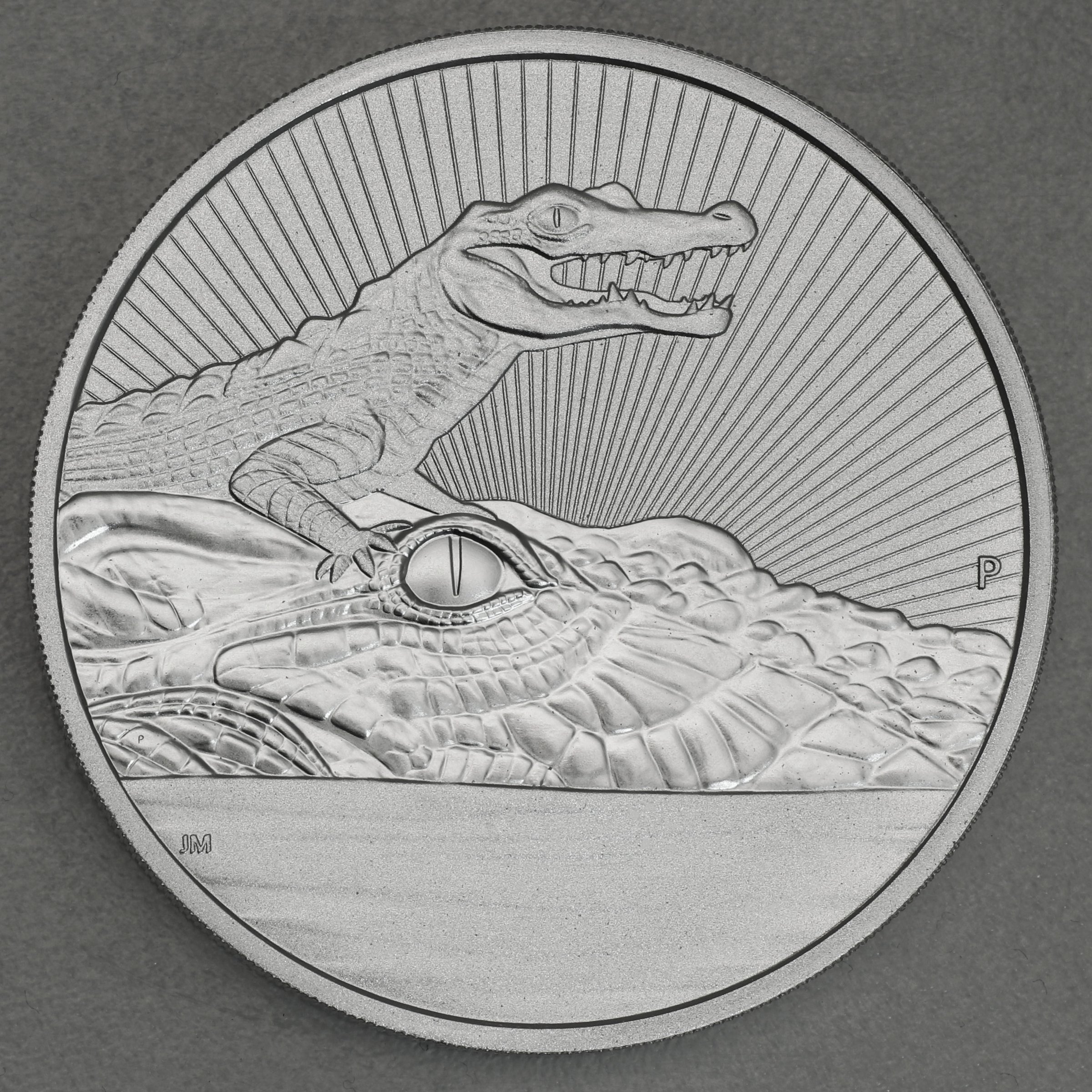 Silbermünze 10oz "Mother & Baby Krokodil" 2019 Next Generation (Australien) - Hauptansicht