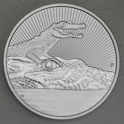 Silbermünze 10oz "Mother & Baby Krokodil" 2019 Next Generation (Australien) - Miniaturansicht 1