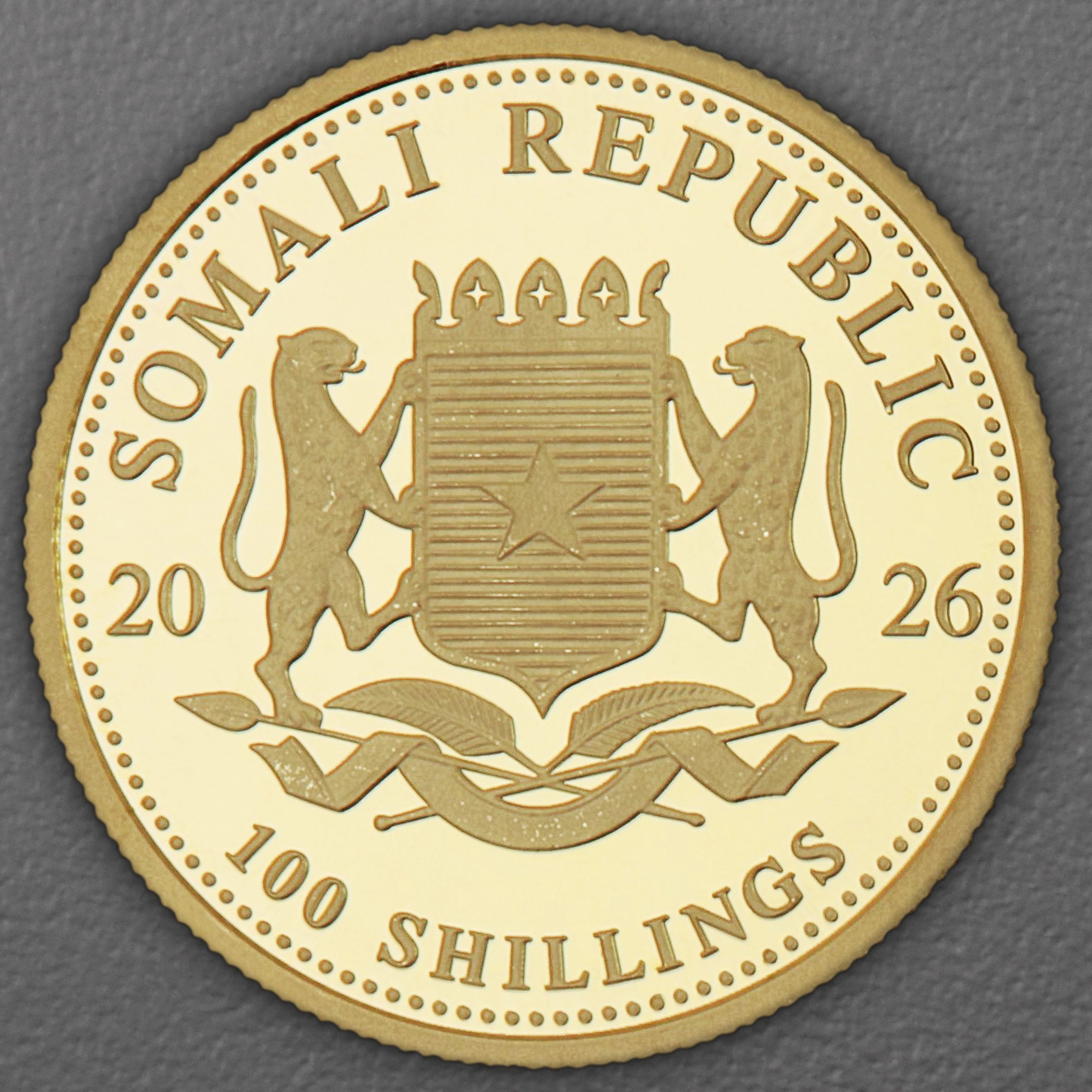Goldmünze 1/10oz "Elefant" 2026 African Wildlife (Somalia) - Detailansicht 1