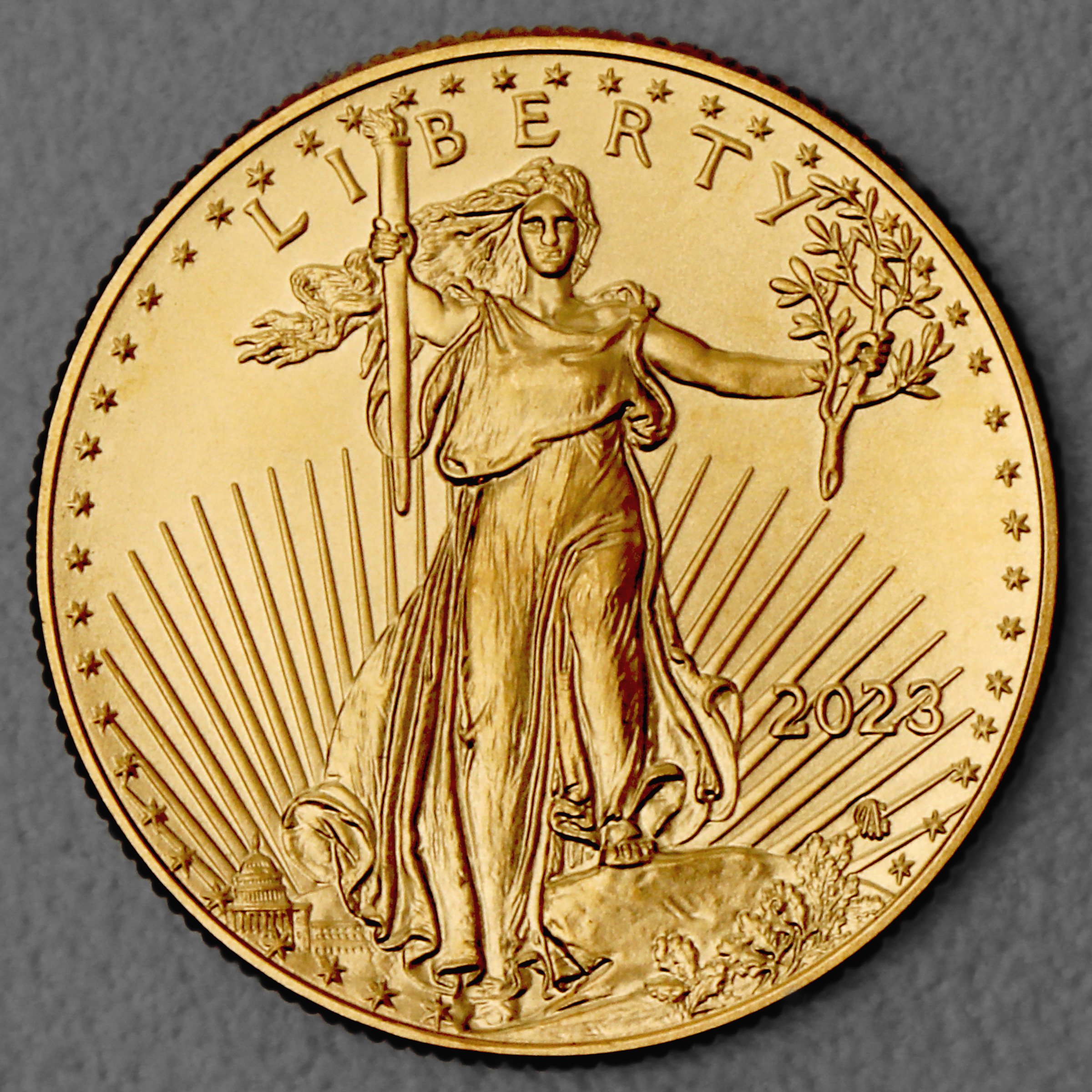Goldmünze 1/2oz "American Eagle" 2023 (USA) - Detailansicht 1