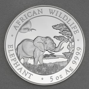 Silbermünze 5oz "Elefant" 2019 African Wildlife (Somalia) - Miniaturansicht 1