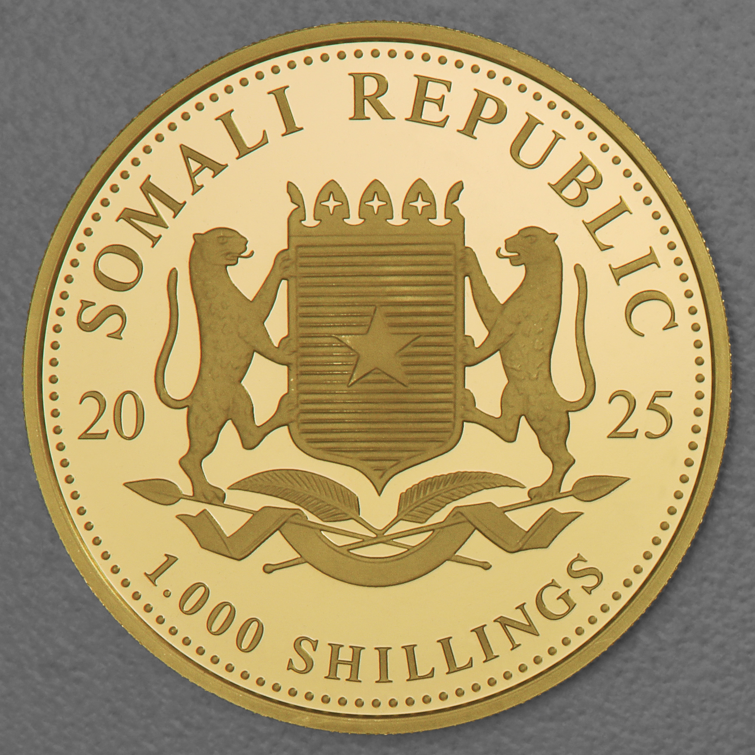 Goldmünze 1oz "Elefant" 2025 African Wildlife (Somalia) - Detailansicht 1