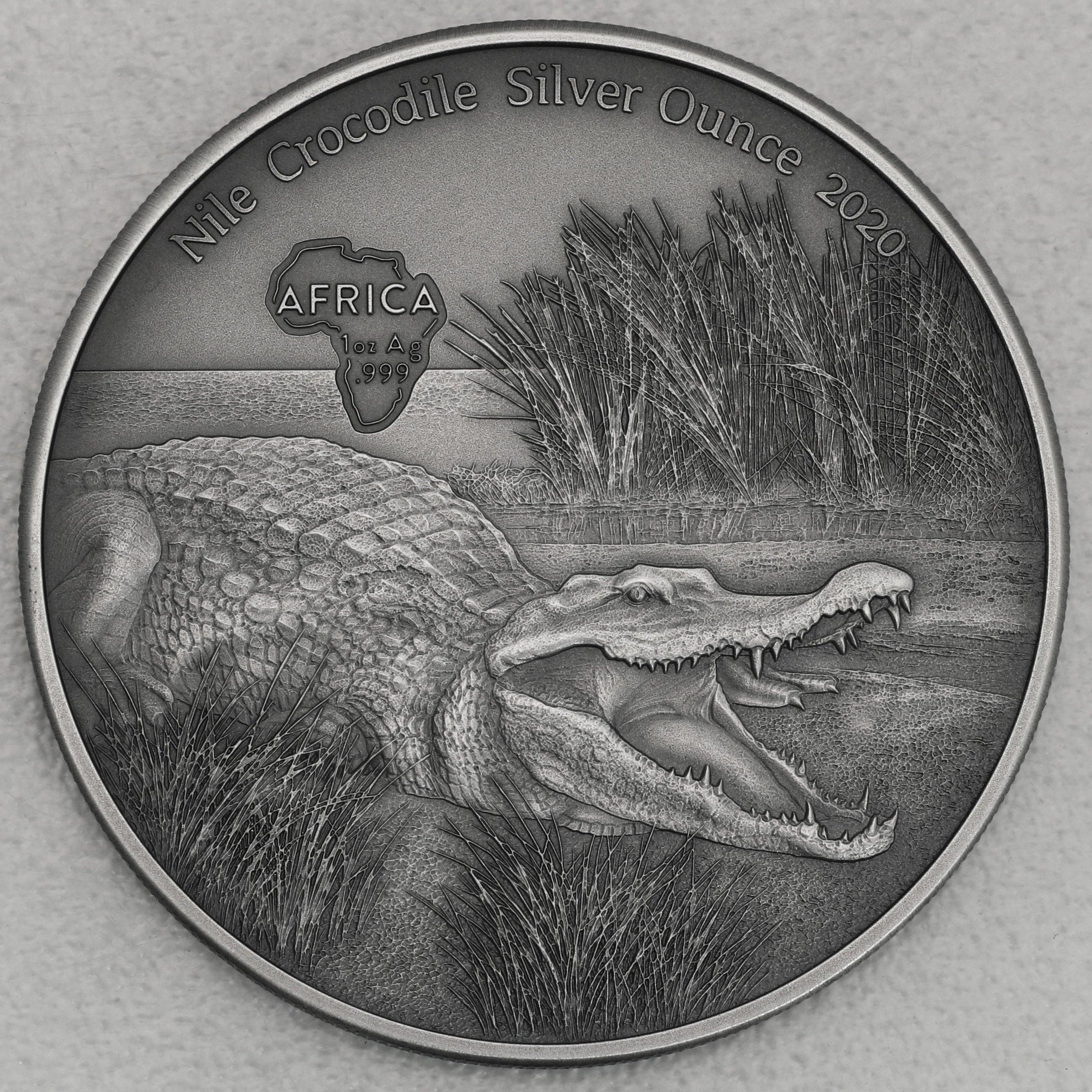 Silbermünze 1oz "Krokodil" 2020 (AF) Africa Silver Ounce (Ghana) - Hauptansicht