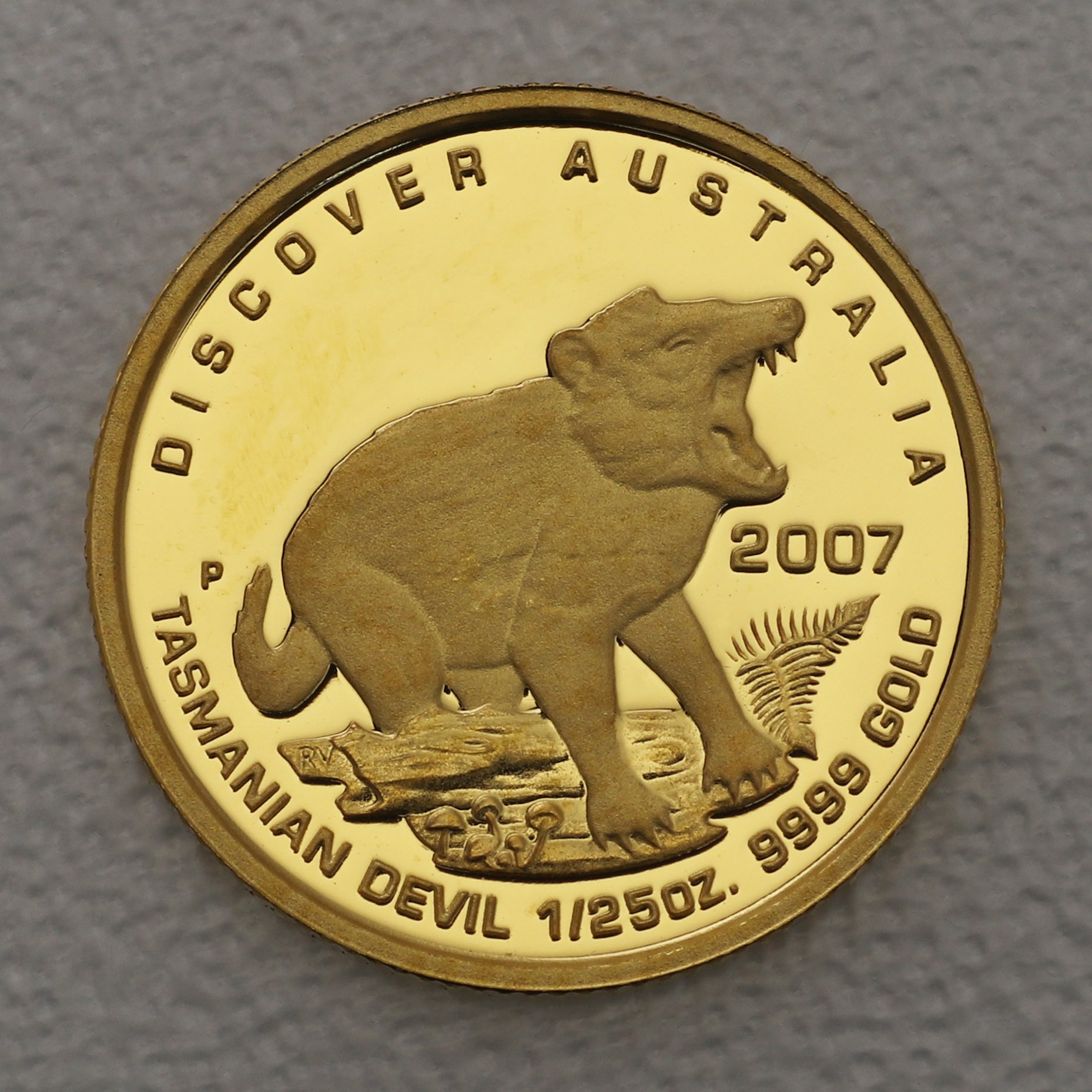 Goldmünze 1/25oz "Tasmanian Devil" 2007 (PP) Discover Australia (Australien) - Hauptansicht