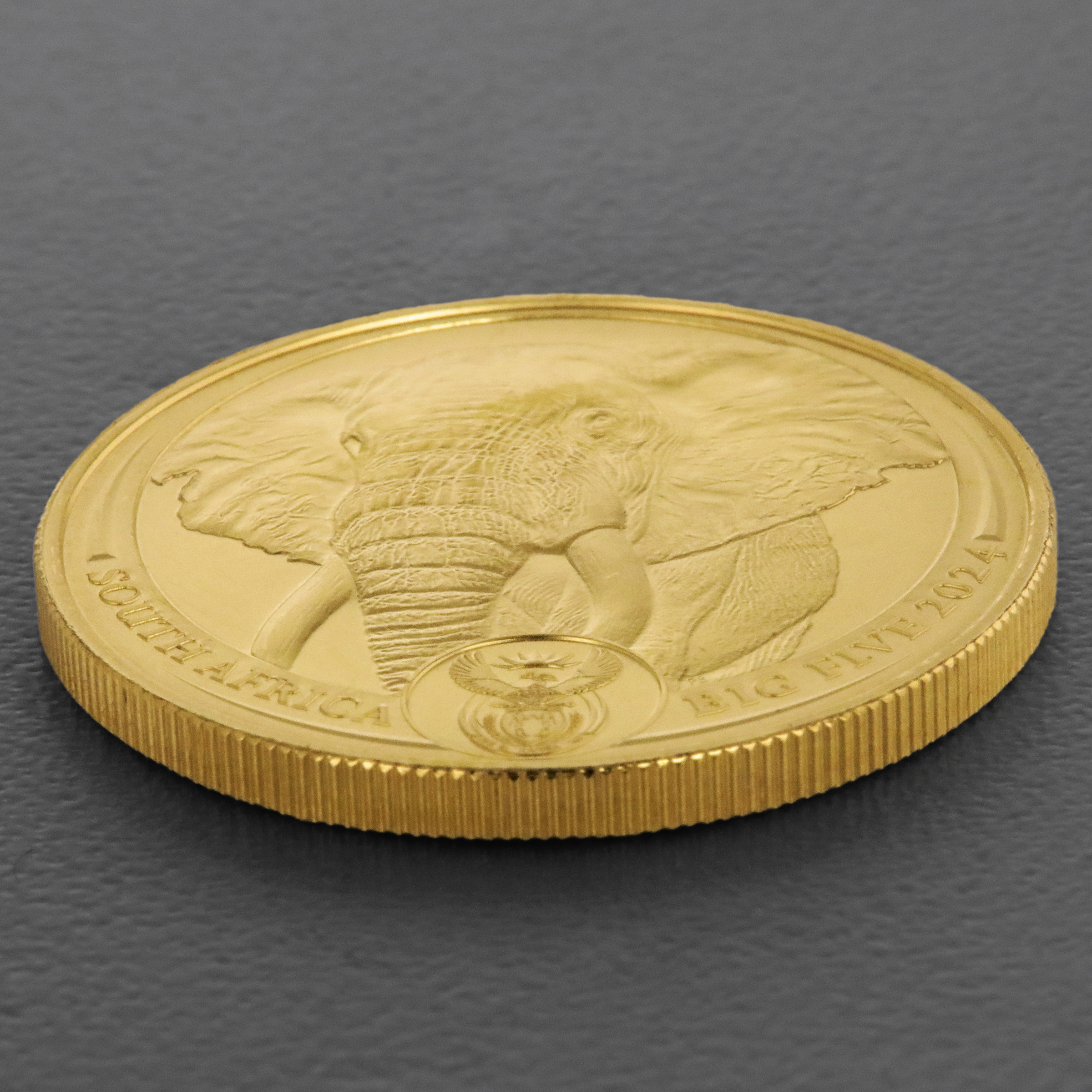 Goldmünze 1oz "Elefant" 2024 Big Five II (Südafrika) - Detailansicht 2