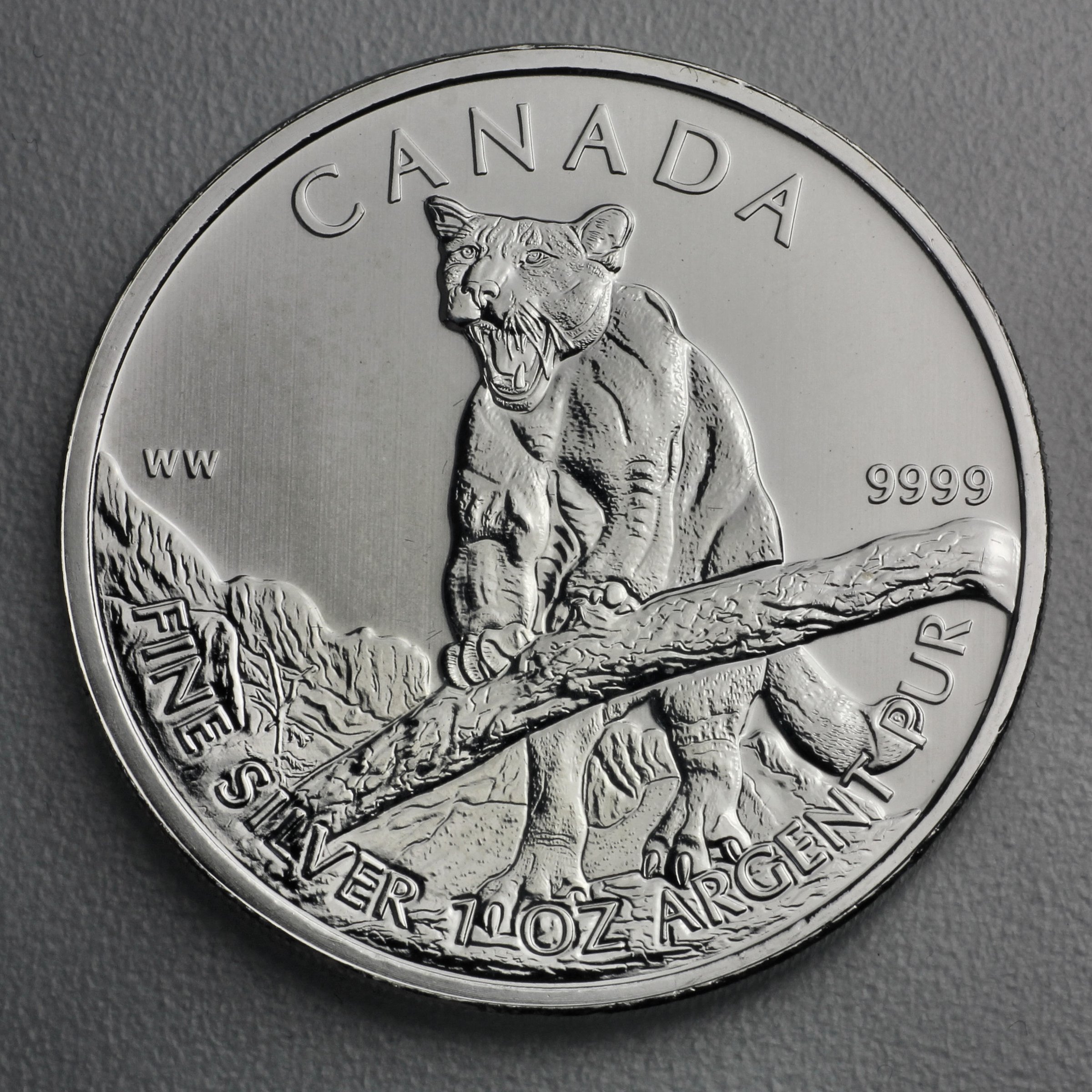 Silbermünze 1oz "Puma" 2012 Wildlife Canada (Kanada) - Hauptansicht