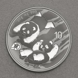 Silbermünze 30g "Panda" 2022 diff. (China) - Hauptansicht