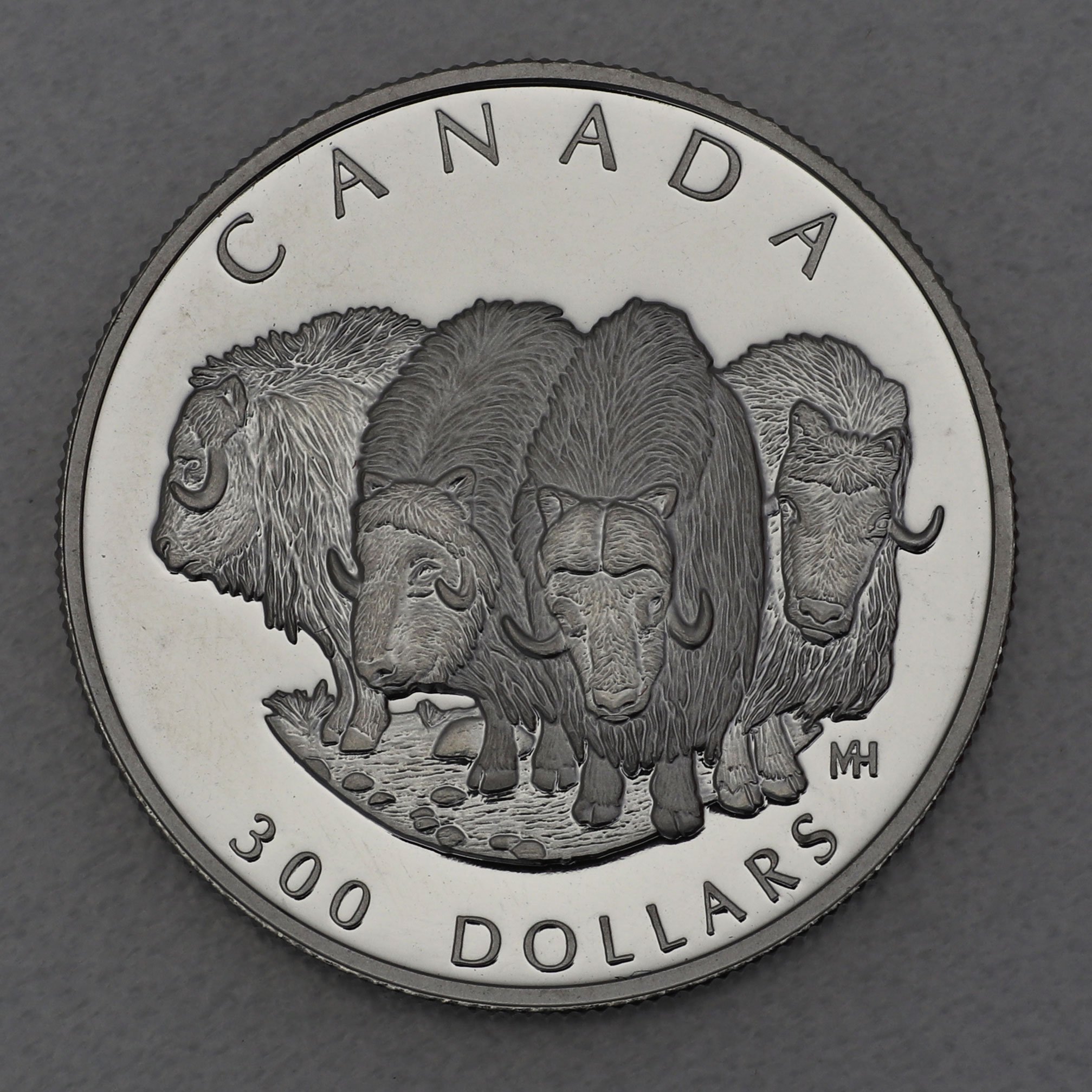 Platinmünze 1oz "Muskox" 1999 Wildlife Canada (Kanada) - Hauptansicht