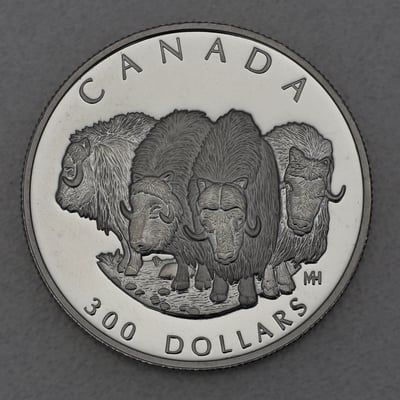 Platinmünze 1oz "Muskox" 1999 Wildlife Canada (Kanada) - Miniaturansicht 1