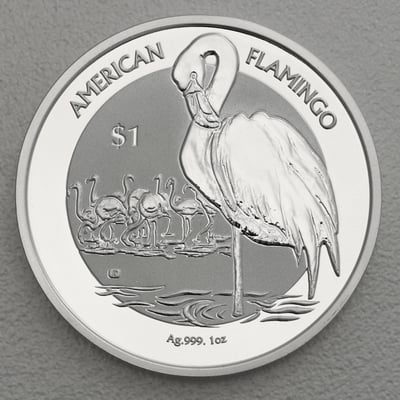 Silbermünze 1oz "American Flamingo" 2021 (Britische Jungferninseln) - Miniaturansicht 1