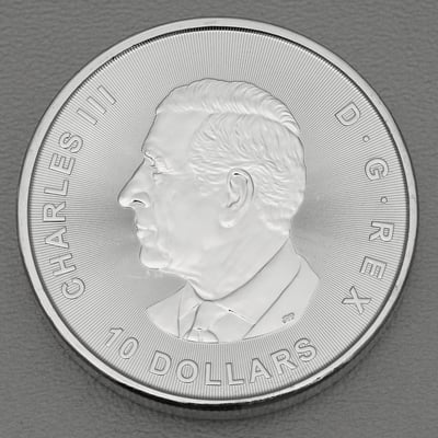 Silbermünze 2oz "Wollmammut" 2024 Ice Age (Kanada) - Miniaturansicht 2