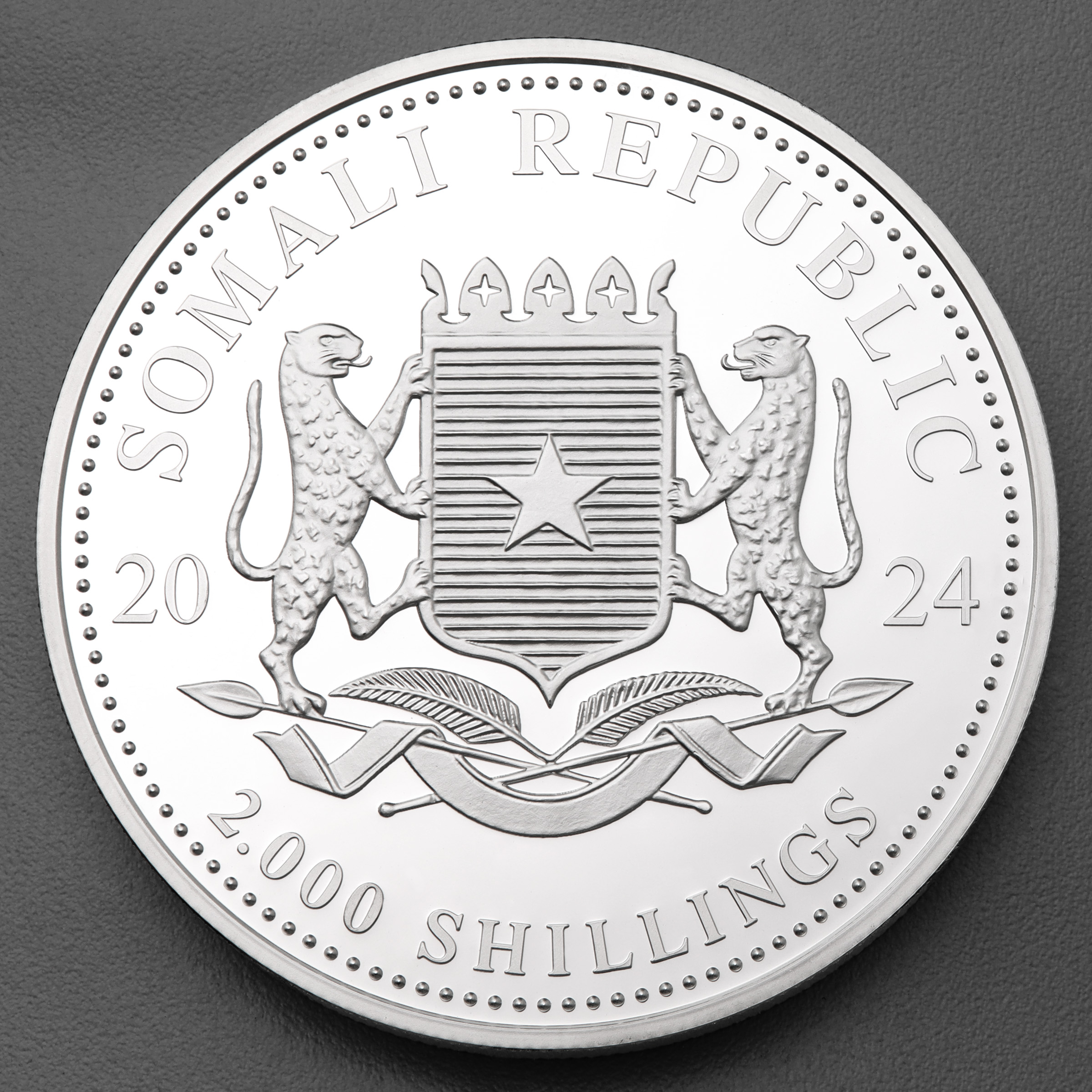 Silbermünze 1kg "Elefant" 2024 African Wildlife diff. (Somalia) - Detailansicht 1