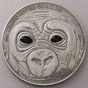 Silbermünze 1oz "Baby Cross River Gorilla" 2013 AF (Kamerun) - Miniaturansicht 1