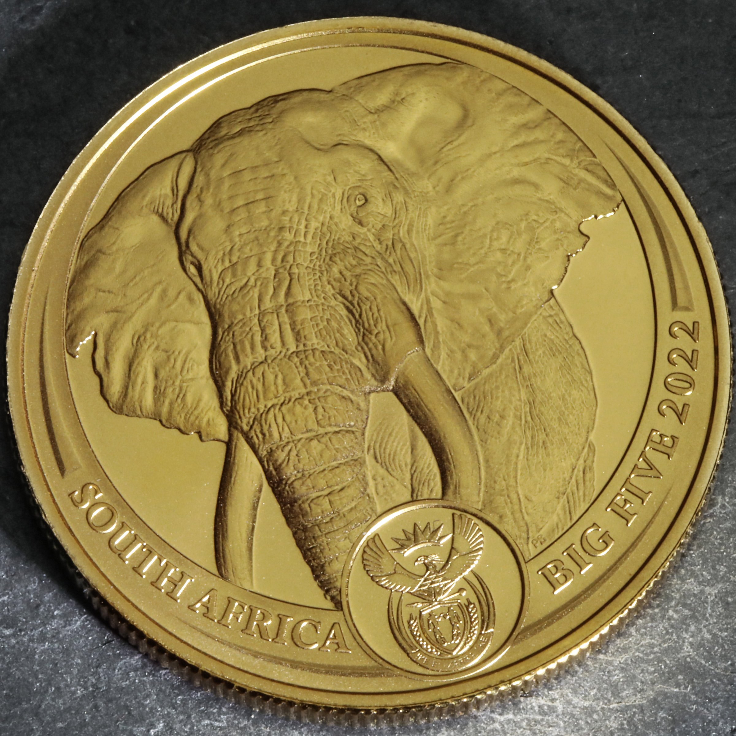 Goldmünze 1oz "Elefant" 2022 Big Five II (Südafrika) - Detailansicht 5
