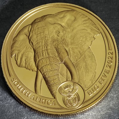 Goldmünze 1oz "Elefant" 2022 Big Five II (Südafrika) - Miniaturansicht 6