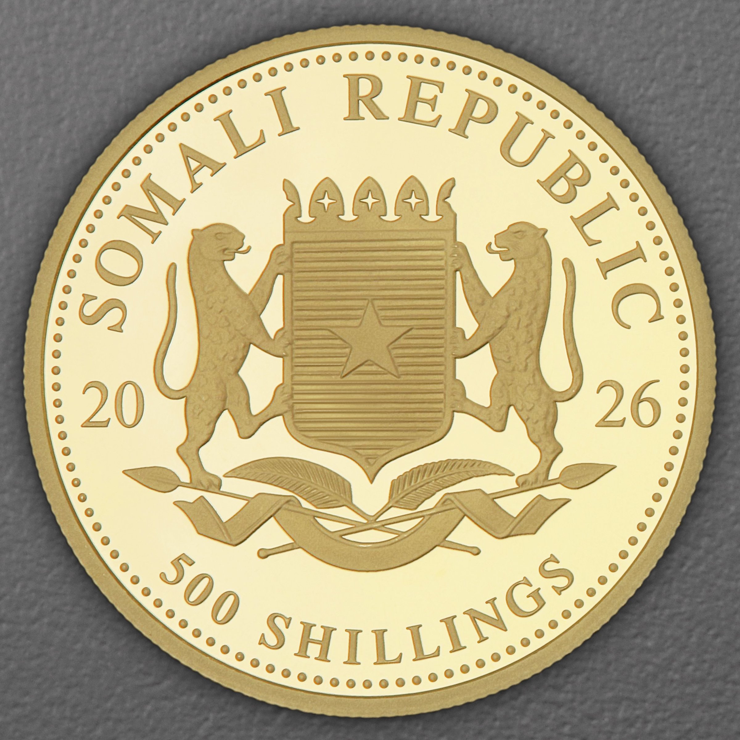 Goldmünze 1/2oz "Elefant" 2026 African Wildlife (Somalia) - Detailansicht 1