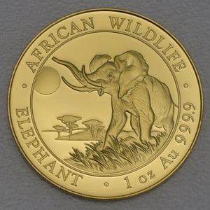 Goldmünze 1oz "Elefant" 2016 African Wildlife (Somalia) - Miniaturansicht 1