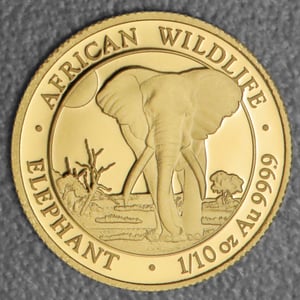 Goldmünze 1/10oz "Elefant" 2025 African Wildlife (Somalia) - Hauptansicht