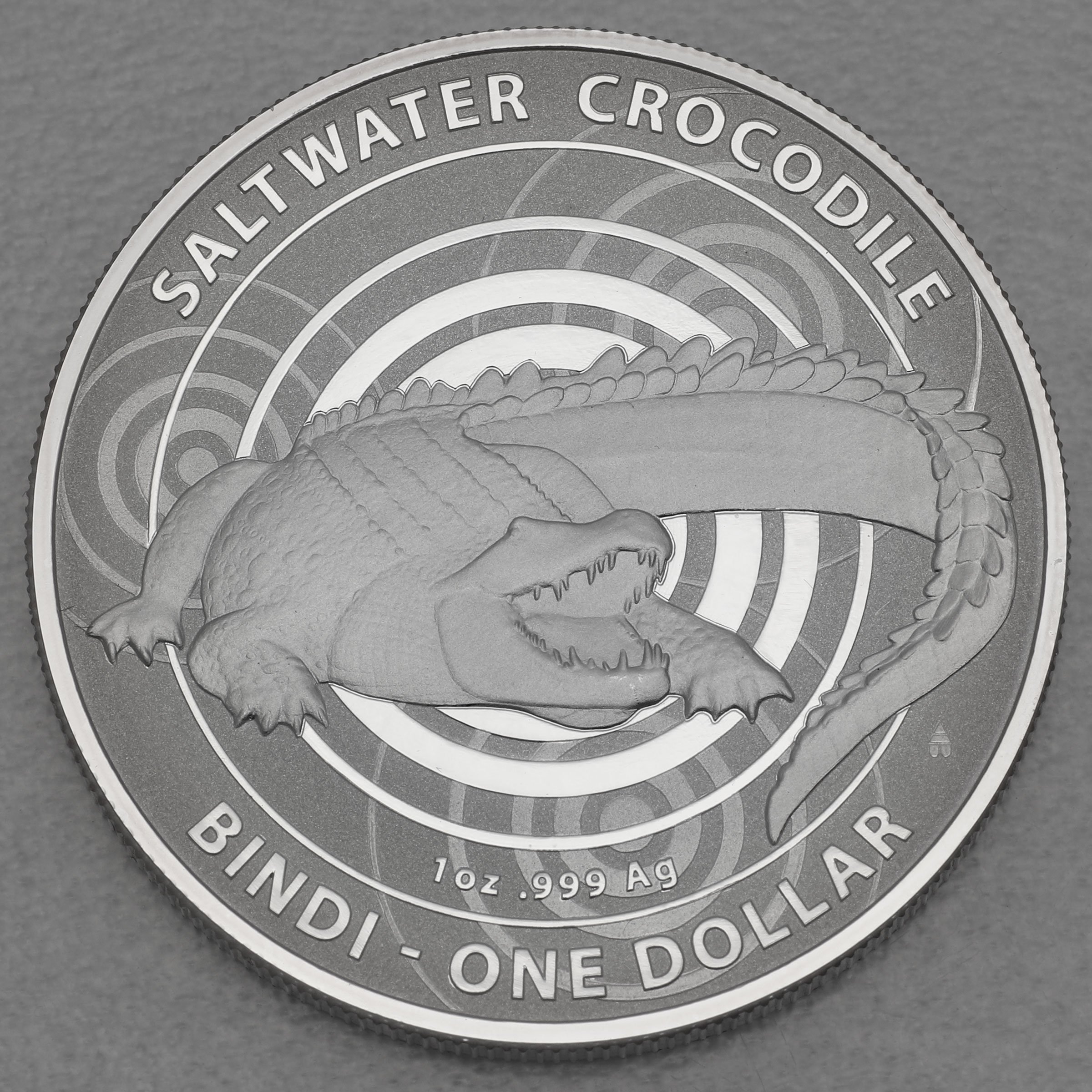Silbermünze 1oz "Krokodil-Bindi" 2013 Australian Saltwater Crocodiles (Australien) - Hauptansicht