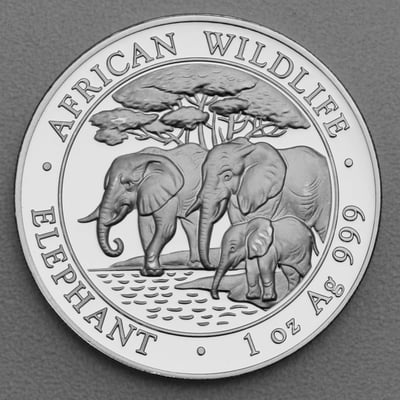 Silbermünze 1oz "Elefant" 2013 African Wildlife diff. (Somalia) - Hauptansicht