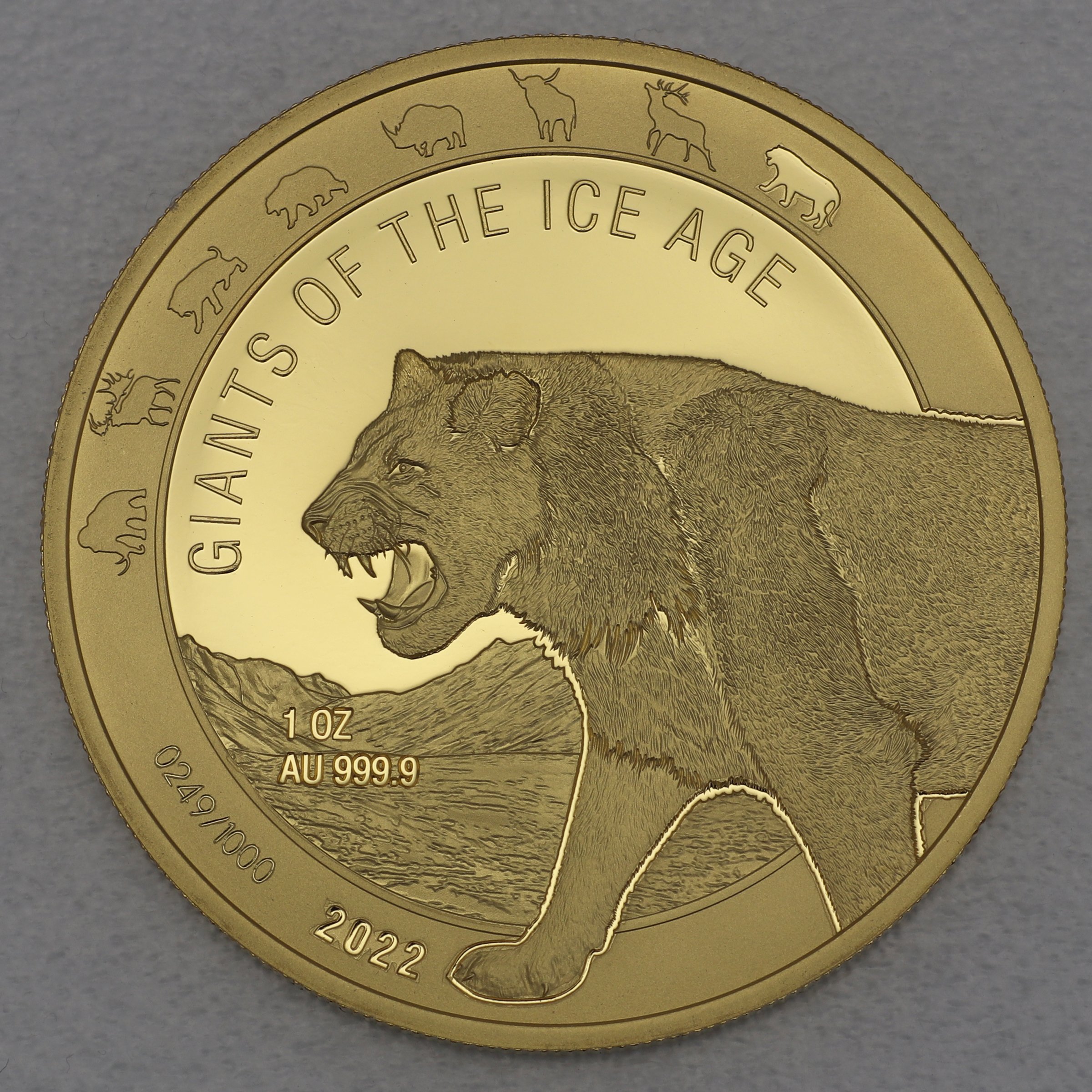 Goldmünze 1oz "Höhlenlöwe" 2022 Giants of Ice Age (Ghana) - Hauptansicht