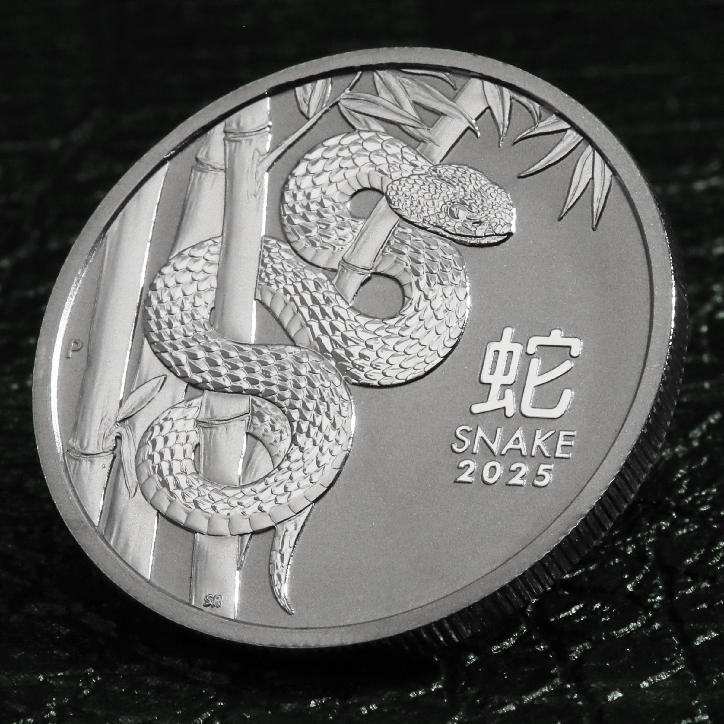Platinmünze 1oz "Schlange" 2025 Lunar III – Year of the Snake 19% (Australien) - Detailansicht 5