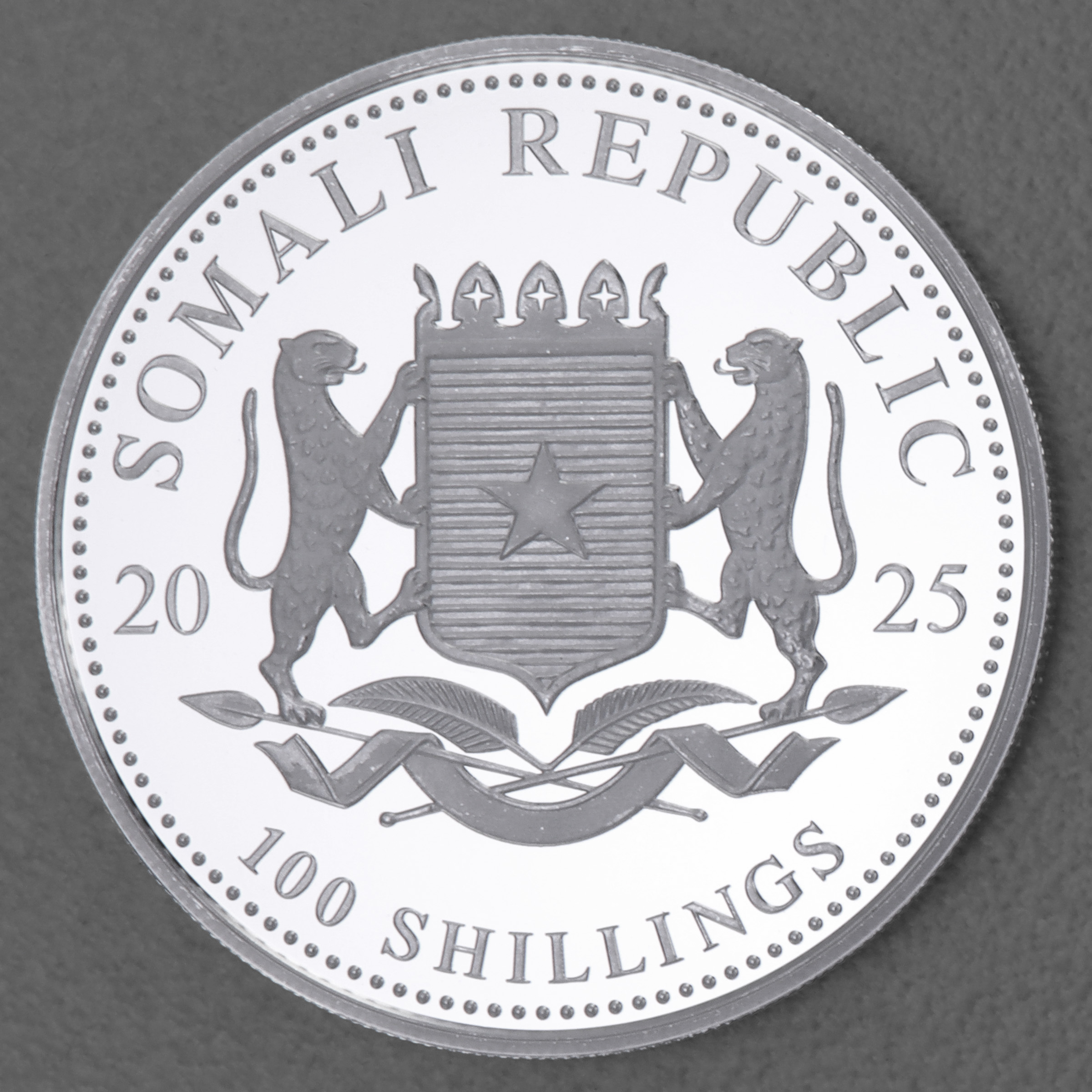 Silbermünze 1oz "Elefant" 2025 African Wildlife diff. (Somalia) - Detailansicht 1