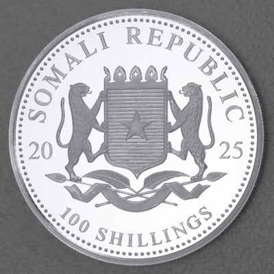 Silbermünze 1oz "Elefant" 2025 African Wildlife diff. (Somalia) - Miniaturansicht 2