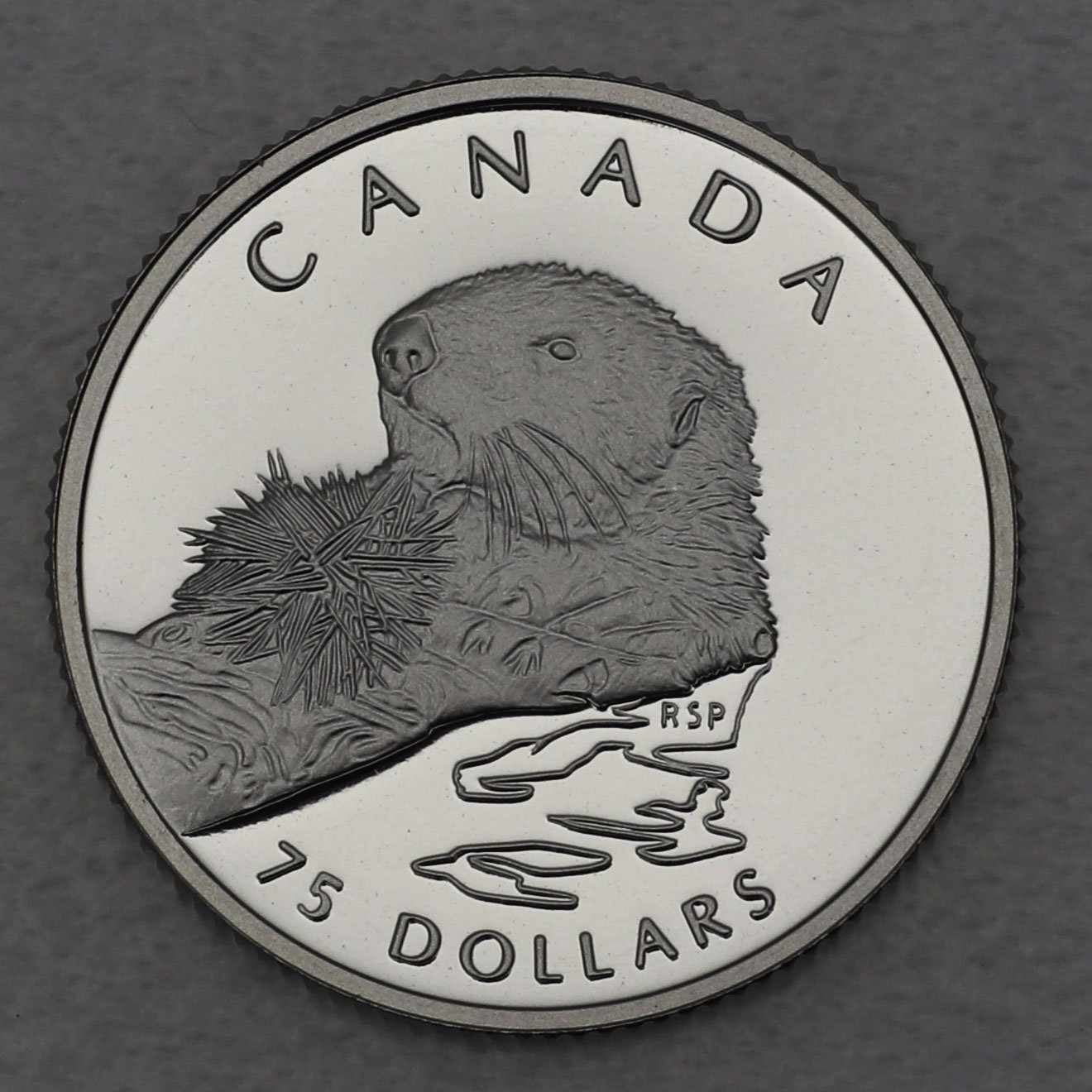 Platinmünze 1/4oz "Sea Otters" 1994 Wildlife Canada (Kanada) - Hauptansicht