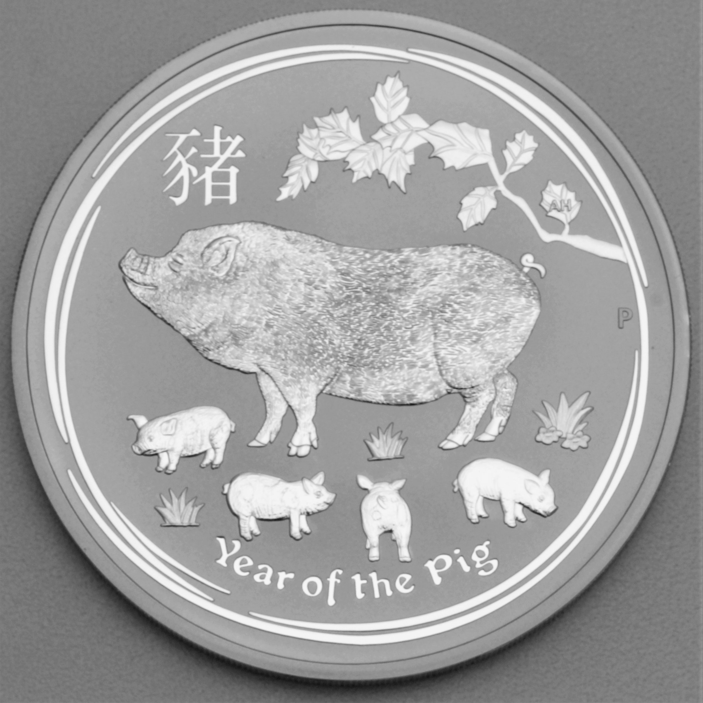 Silbermünze 10oz "Schwein" 2019 Lunar II – Year of the Pig (Australien) - Hauptansicht