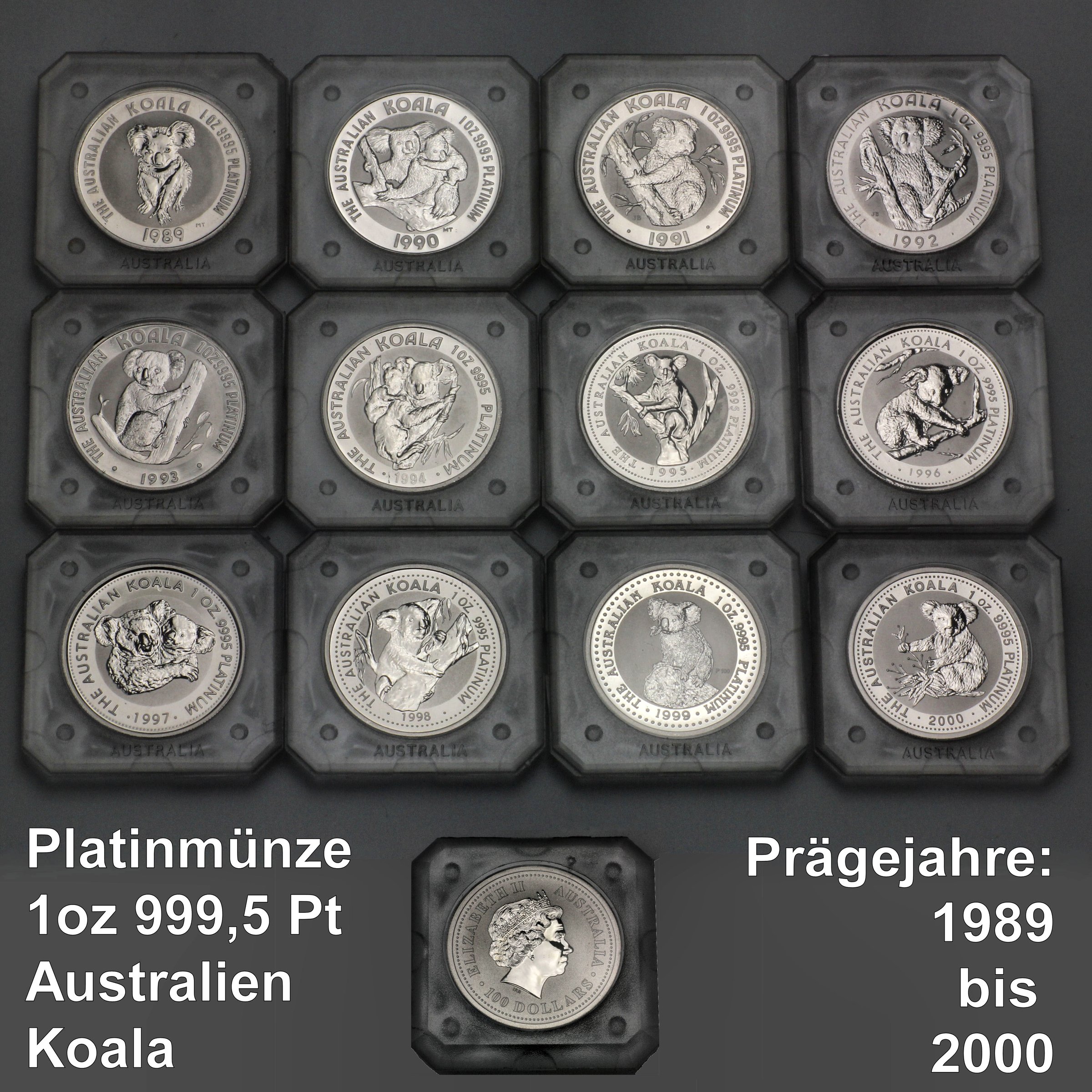 Platinmünze 1oz "Koala" (Australien) - Detailansicht 2