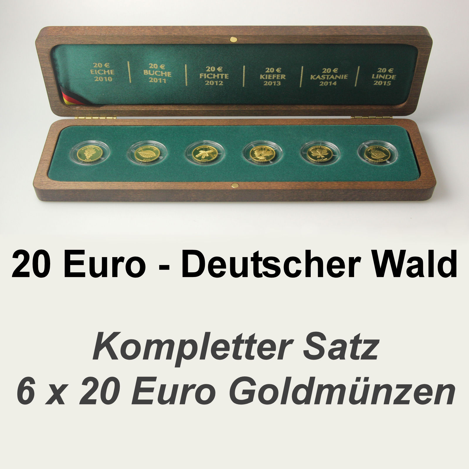 Goldmünzen 6 x 20 Euro "Deutscher Wald" 2010-2015 Set – 6-teilig (Deutschland) - Detailansicht 1
