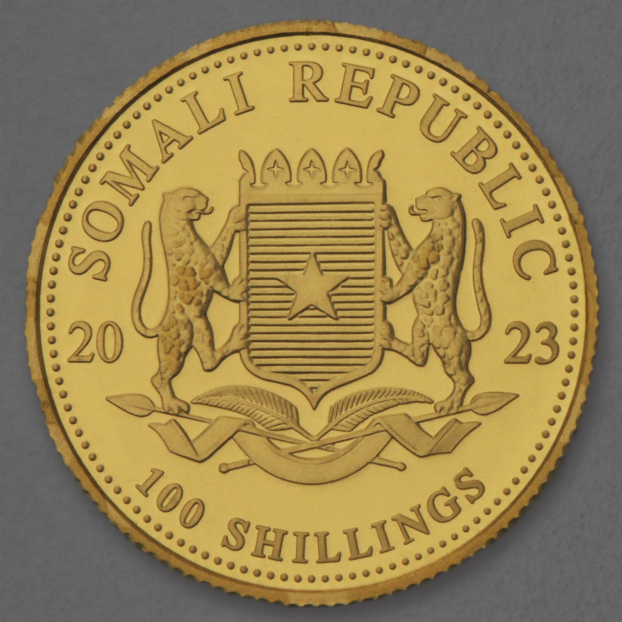 Goldmünze 1/10oz "Elefant" 2023 African Wildlife (Somalia) - Detailansicht 1
