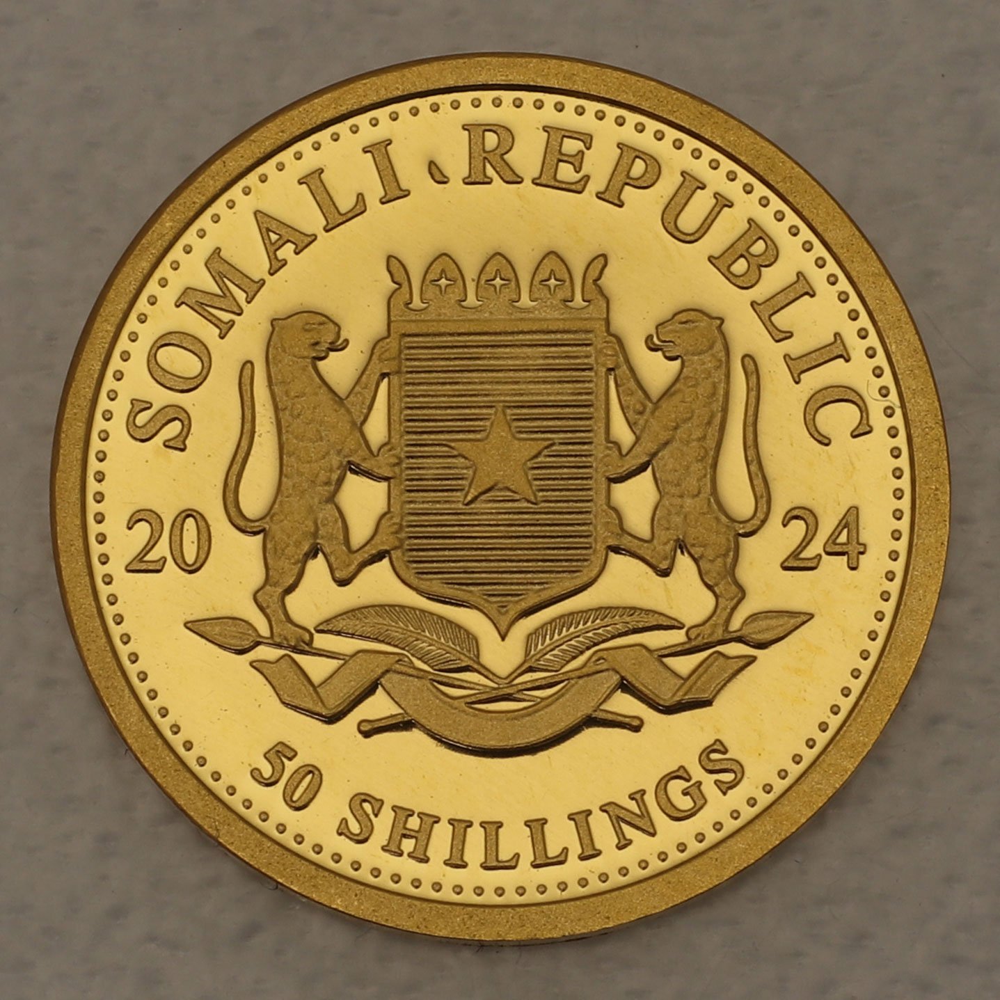 Goldmünze 1/25oz "Elefant" 2024 African Wildlife (Somalia) - Detailansicht 1