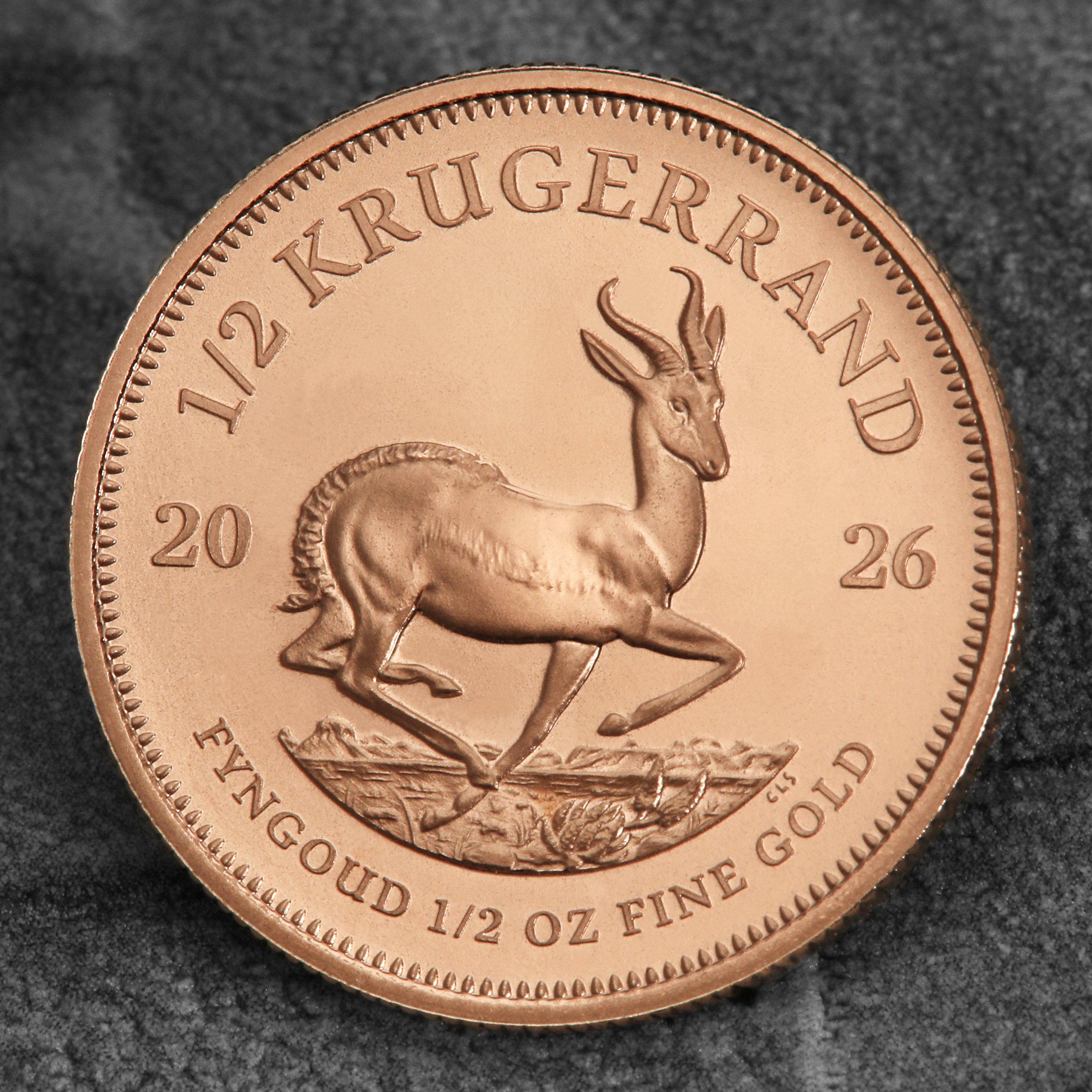Goldmünze 1/2oz "Krügerrand" aktueller Jahrgang (Südafrika) - Detailansicht 4