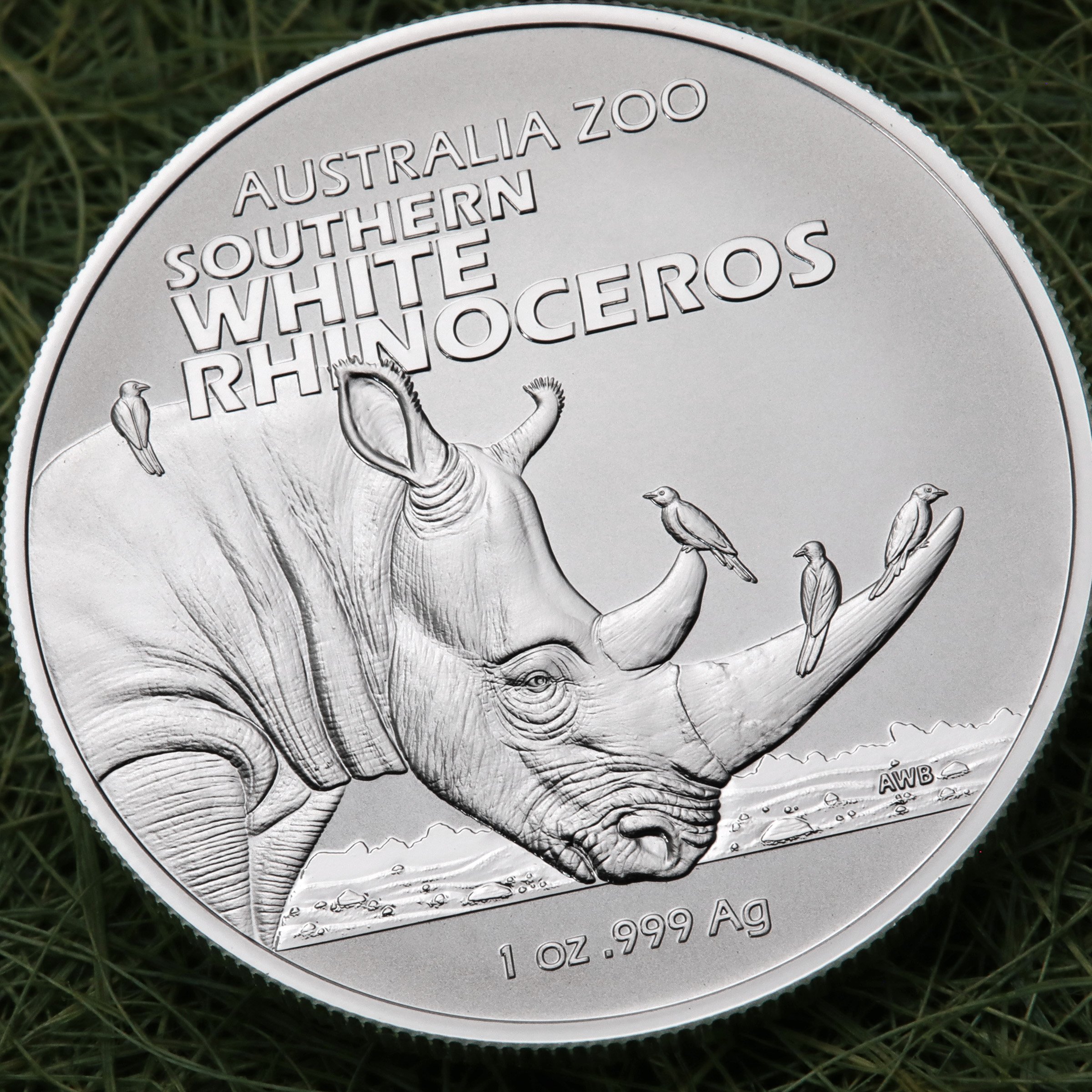 Silbermünze 1oz "Südliches Breitmaulnashorn" 2023 Australia Zoo 19% (Australien) - Detailansicht 4
