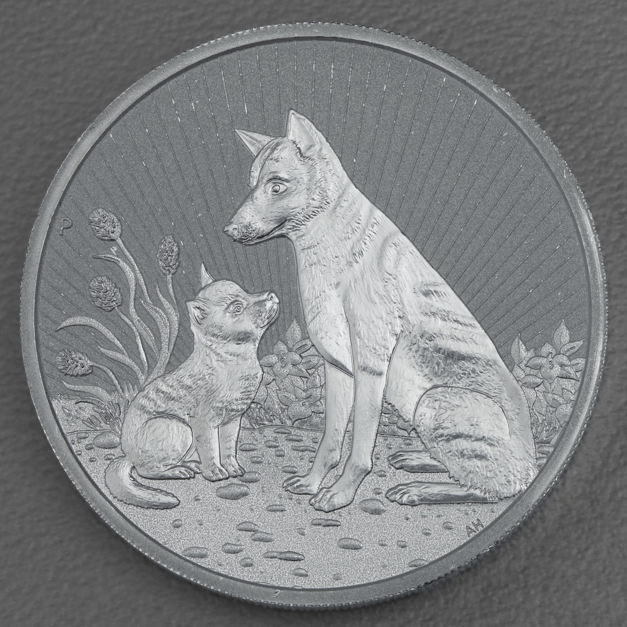 Silbermünze 2oz "Mother & Baby Dingo 2022" Next Generation diff. (Australien) - Hauptansicht