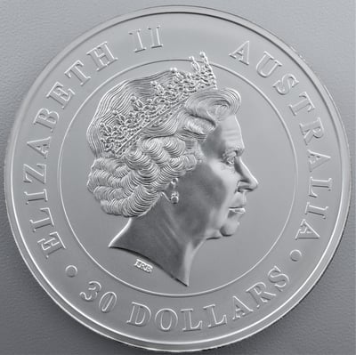 Silbermünze 1kg "Koala" 2012 (Australien) - Miniaturansicht 2