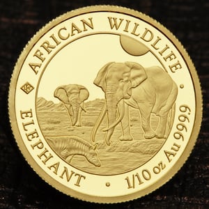 Goldmünze 1/10oz "Elefant" 2026 African Wildlife (Somalia) - Miniaturansicht 5