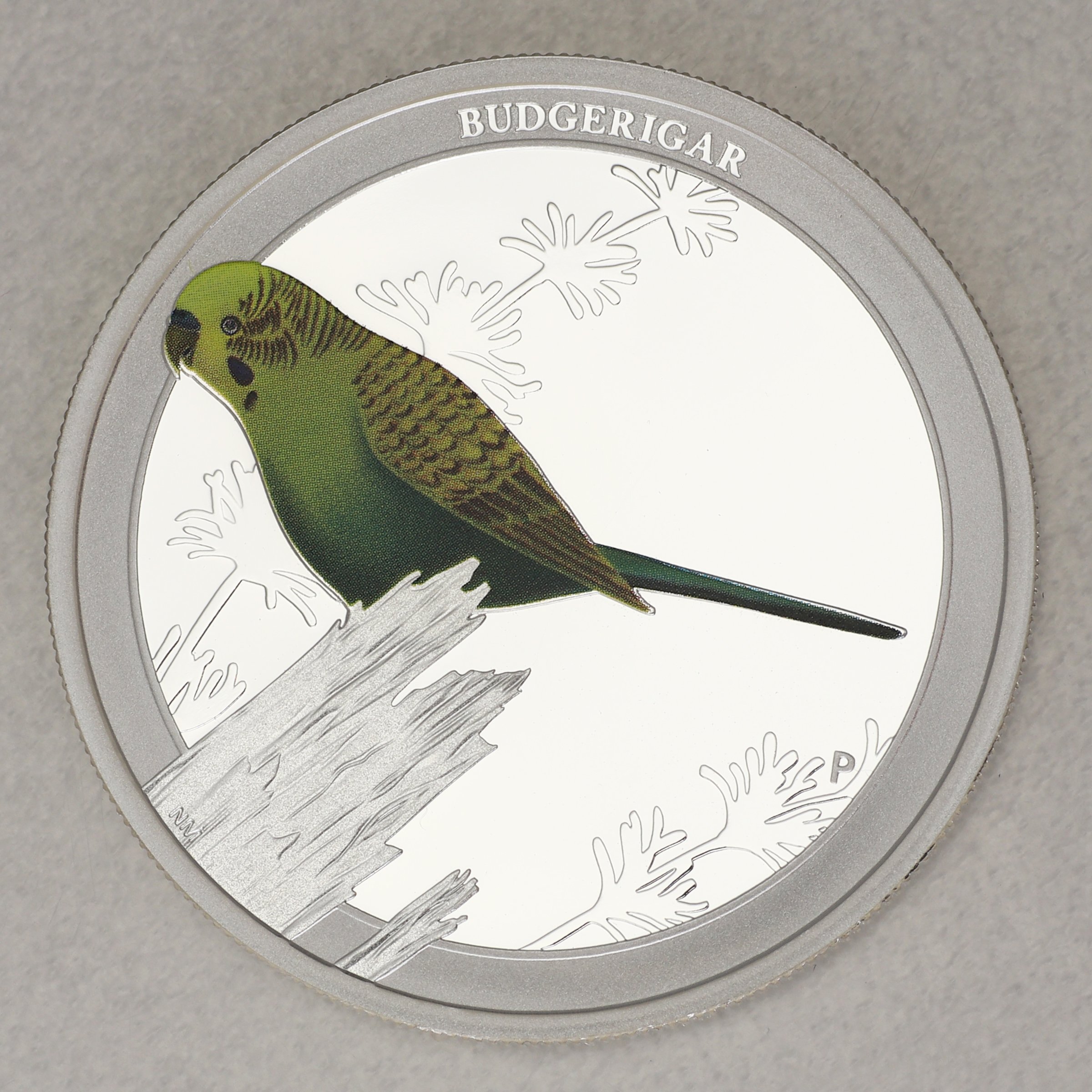 Silbermünze 1/2oz "Budgerigar 2013" (PP) Birds of Australia - Hauptansicht