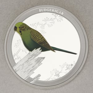 Silbermünze 1/2oz "Budgerigar 2013" (PP) Birds of Australia - Miniaturansicht 1
