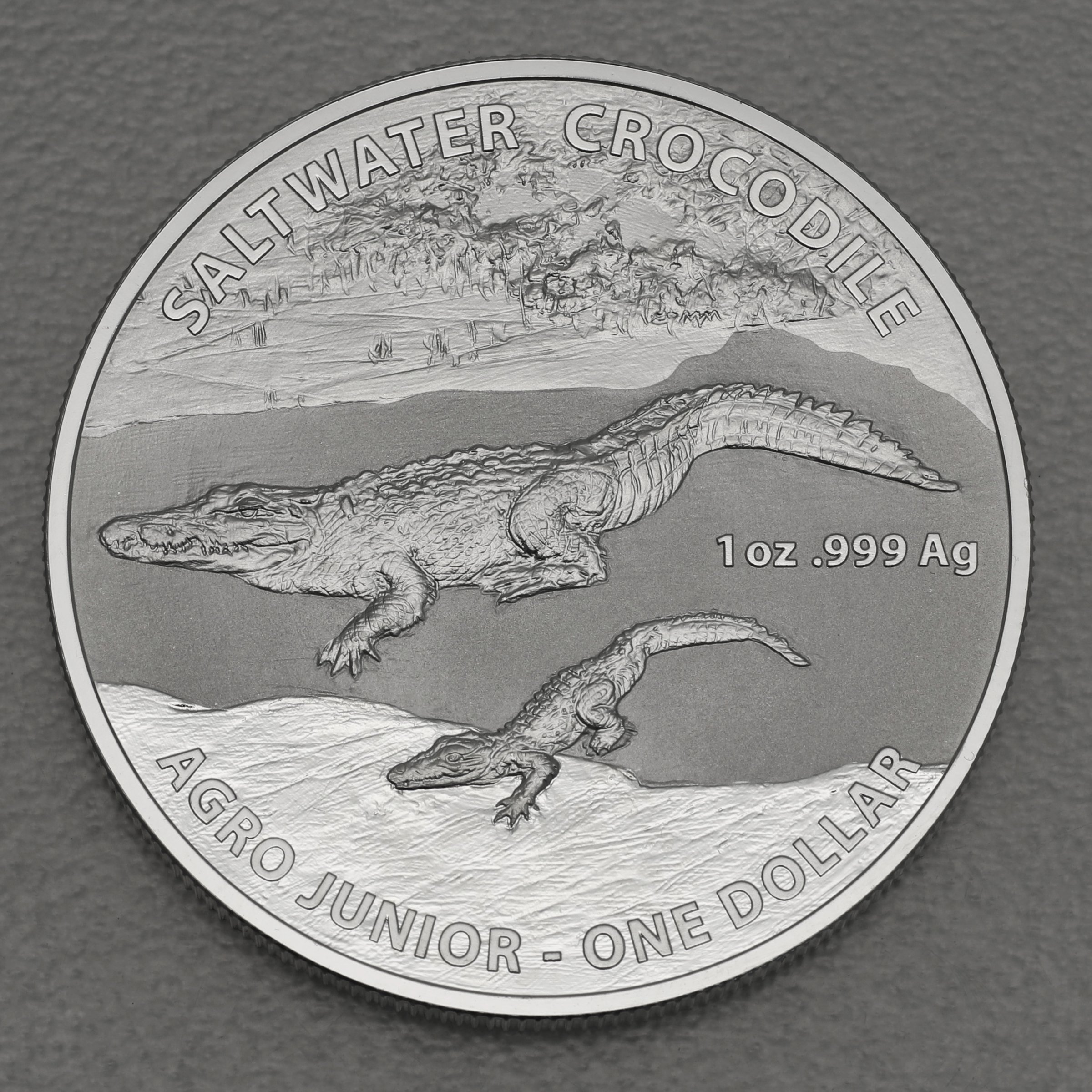 Silbermünze 1oz "Krokodil-Agro Junior" 2015 Australian Saltwater Crocodiles (Australien) - Hauptansicht