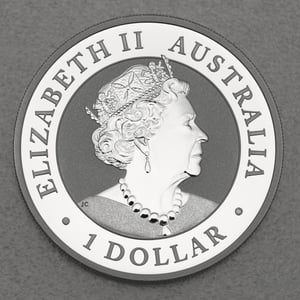 Silbermünze 1oz "Wombat" 2022 (Australien) - Miniaturansicht 2