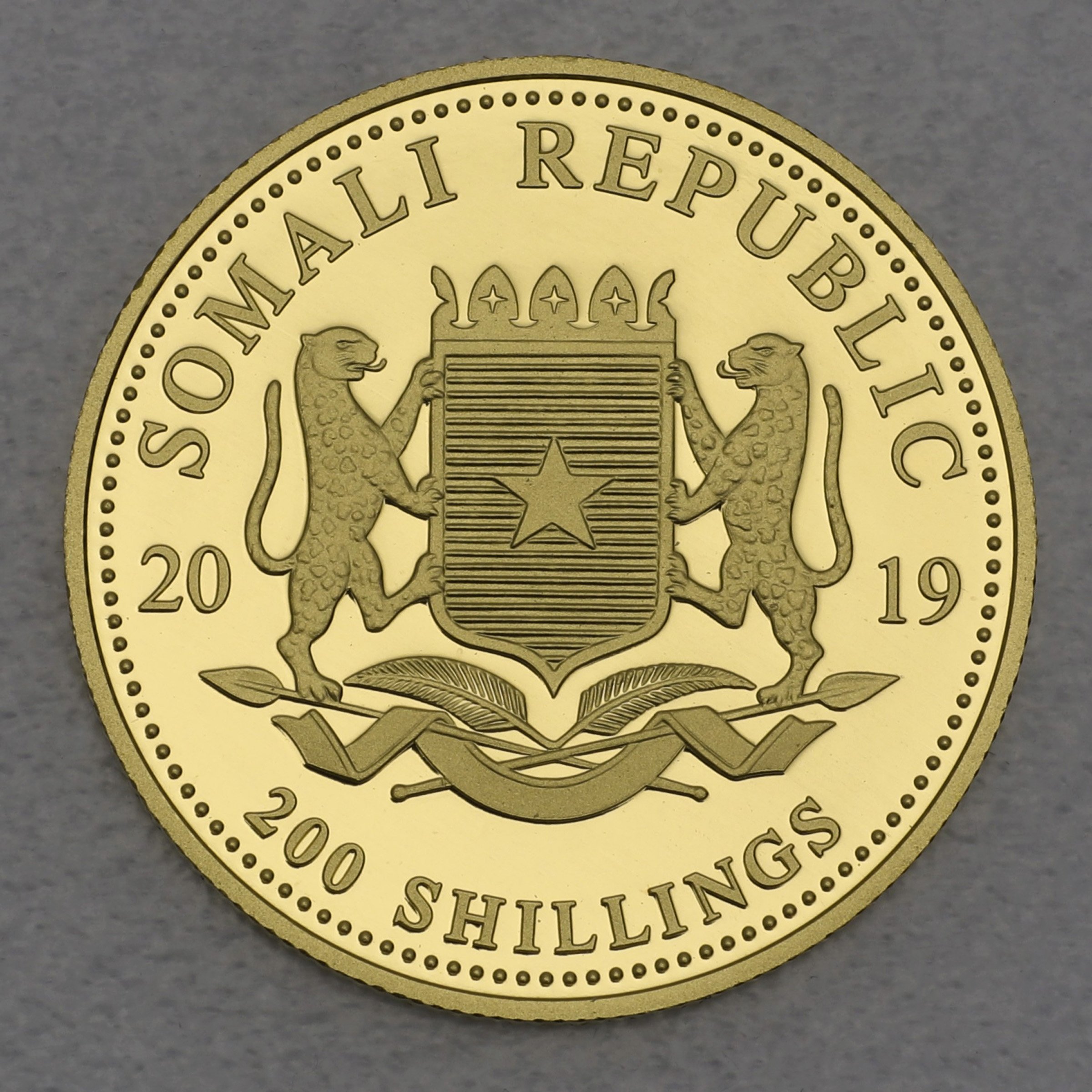 Goldmünze 1/4oz "Elefant" 2019 African Wildlife (Somalia) - Detailansicht 1