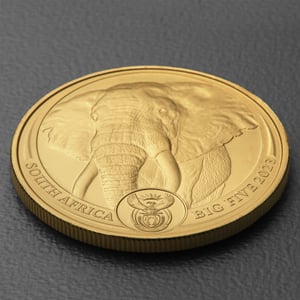 Goldmünze 1oz "Elefant" 2023 Big Five II (Südafrika) - Miniaturansicht 3