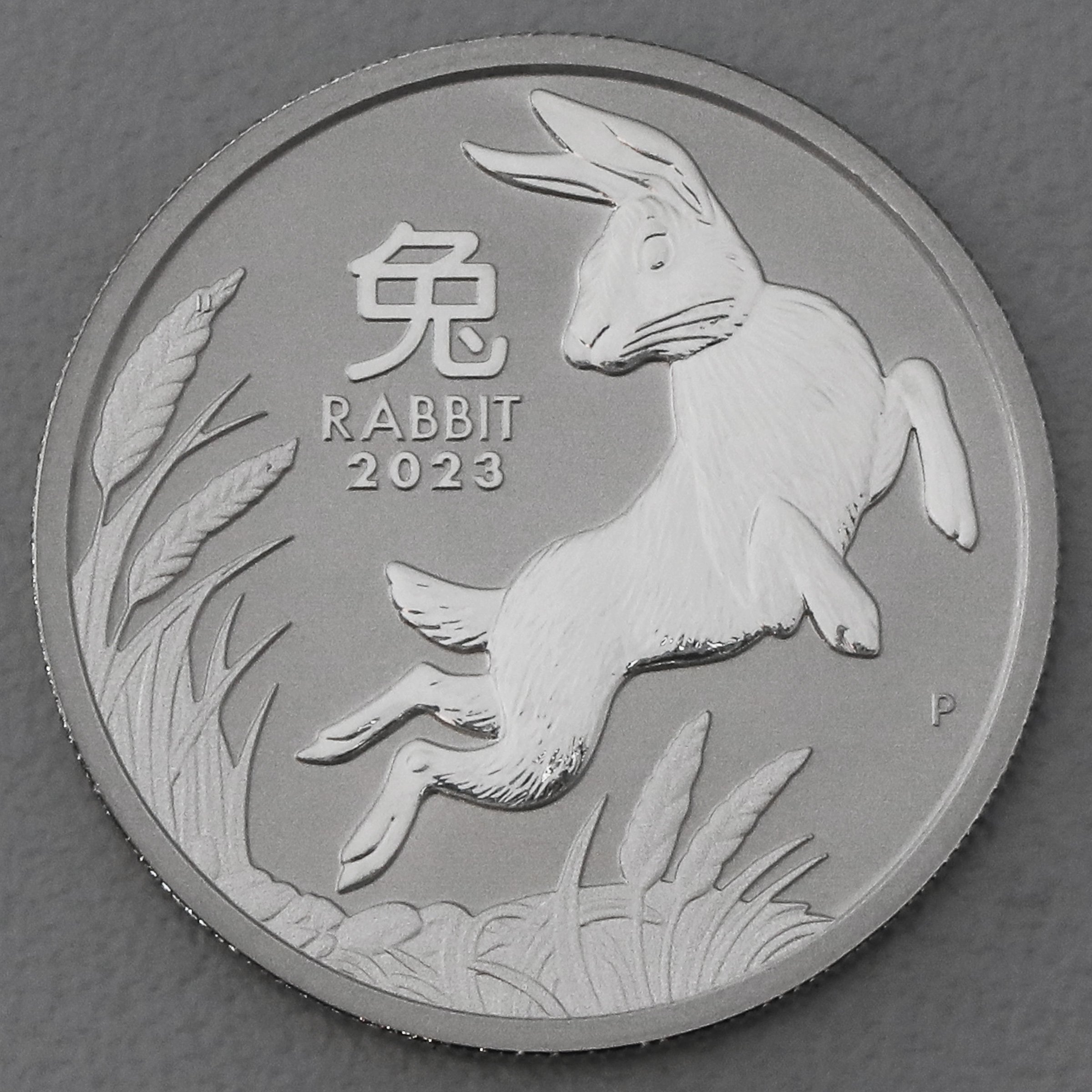 Platinmünze 1oz "Hase" 2023 Lunar III – Year of the Rabbit (Australien) - Hauptansicht