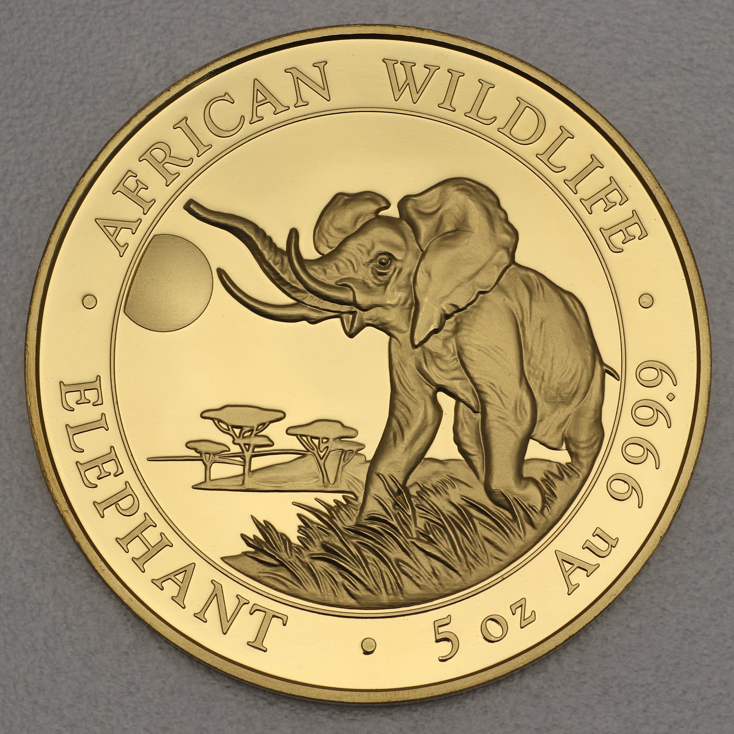 Goldmünze 5oz "Elefant" 2016 African Wildlife (Somalia) - Hauptansicht