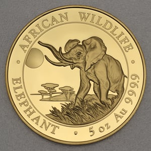 Goldmünze 5oz "Elefant" 2016 African Wildlife (Somalia) - Hauptansicht