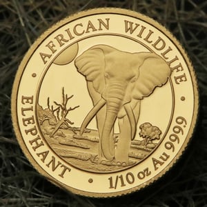 Goldmünze 1/10oz "Elefant" 2025 African Wildlife (Somalia) - Miniaturansicht 5