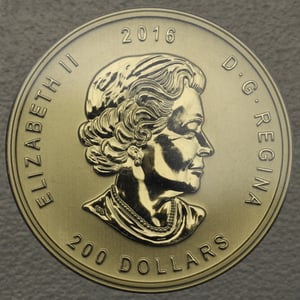Goldmünze 1oz "Roaring Grizzly" 2016 Call of the wild (Kanada) - Miniaturansicht 2